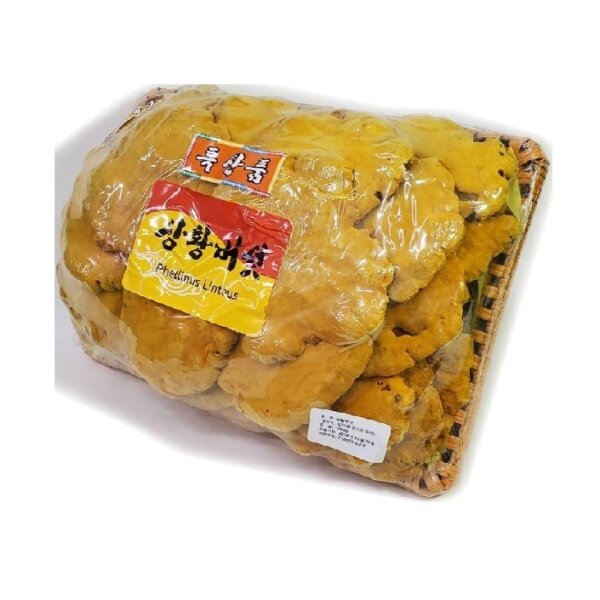 Nấm Thượng hoàng Hàn Quốc Phellines 500g (tai to) - Ảnh 3