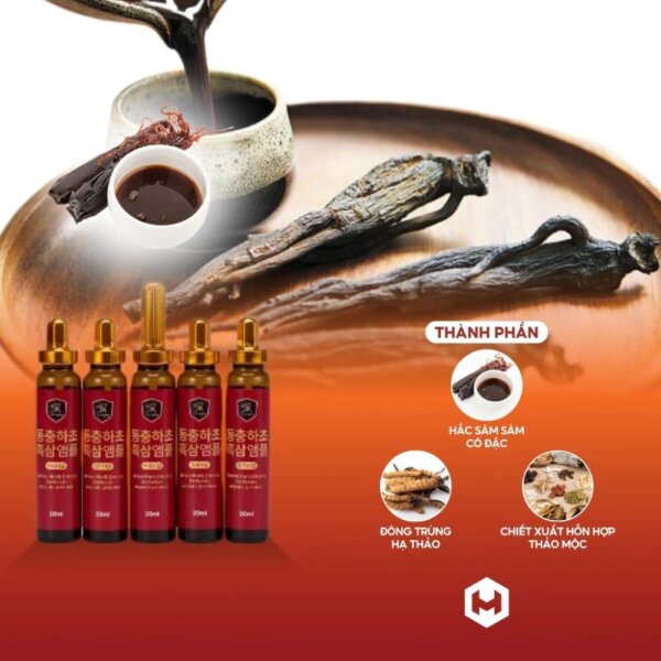 Nước Hắc Sâm cô đặc GinsengKing 30 ống x 20ml - Ảnh 5