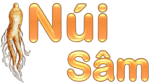 nuisamhanquoc.com